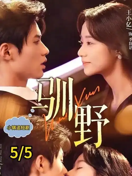 山海故人 热播电视剧全集在线观看